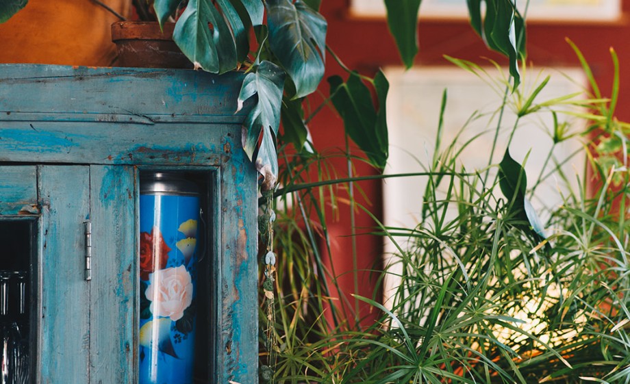 Lekker veel groen in huis | Foto: Marjon Lukje