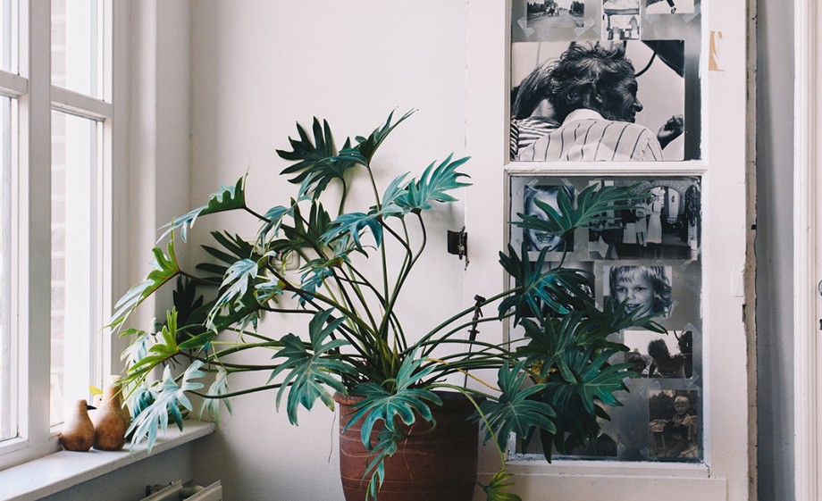 Oude deuren gebruikt Poldy als XL fotolijst | Foto: Marjon Lukje