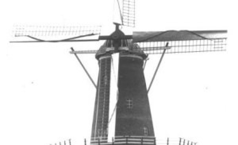 De Phoenix met wieken