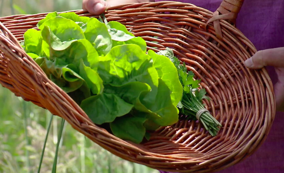 Raapstelen oogst je als jong groen