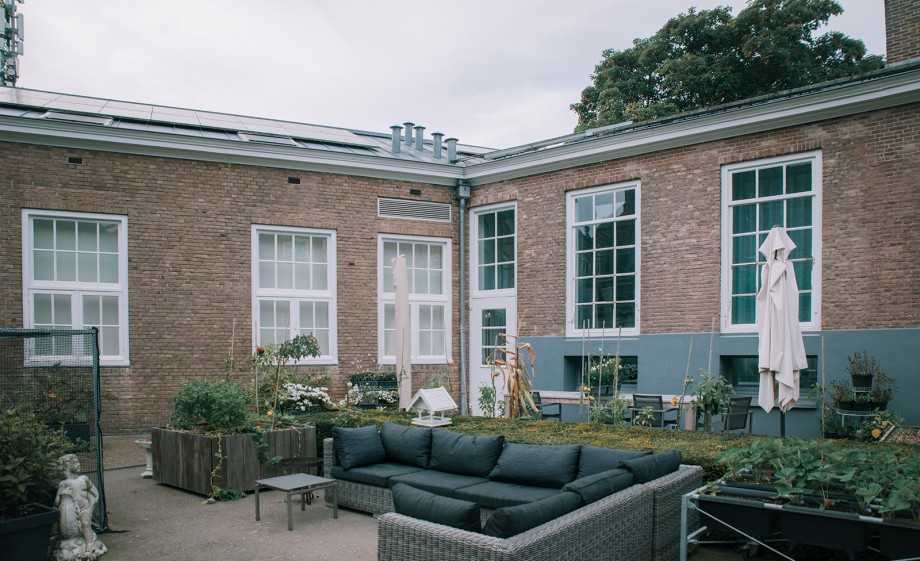 De tuin na de aanpak van Ben | Foto: Sheena Schouwink