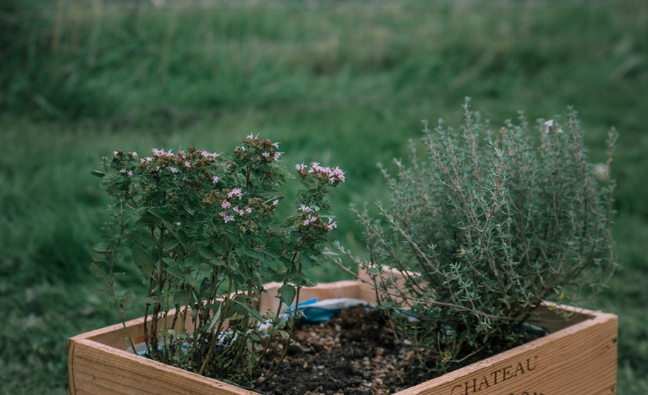 Het eindresultaat! | Foto: Sheena Schouwink