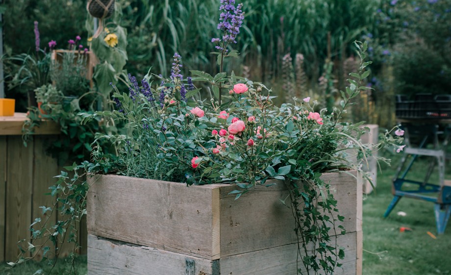 Het eindresultaat! | Foto: Sheena Schouwink