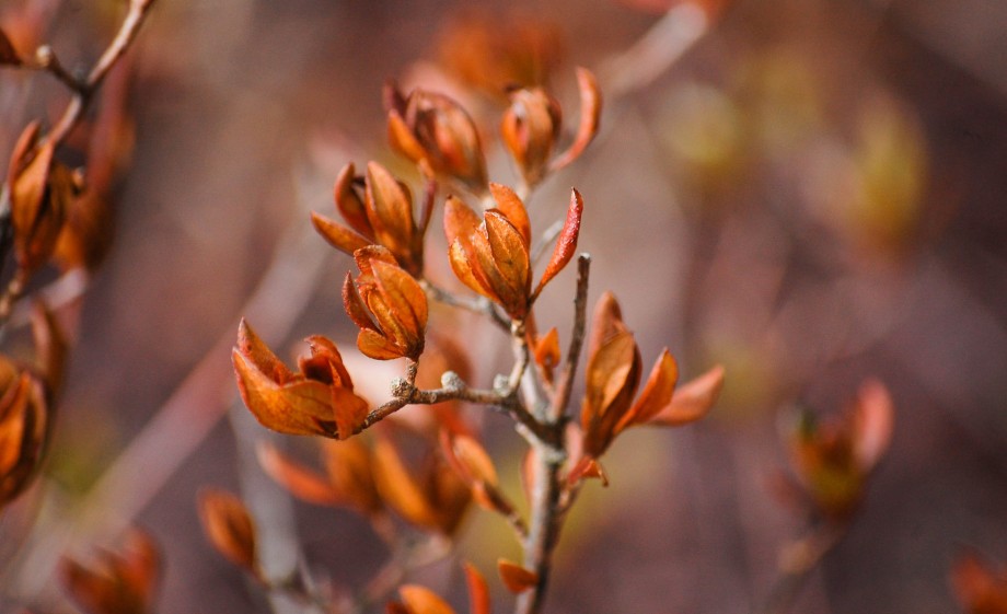 Herfst komt eraan | Foto: Pexels