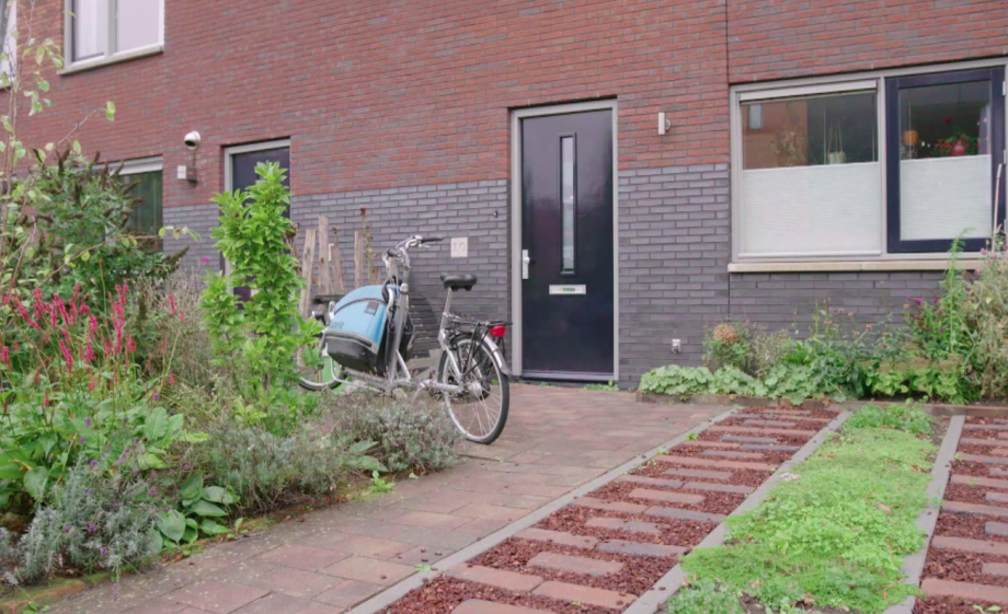 Groene oprit met enkele stenen en perzikpitten in Groningen | Still uit de uitzending