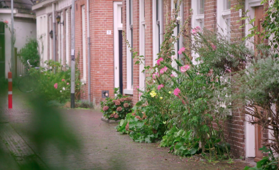 Groen tegen de gevel doet de stad goed | Still uit de uitzending