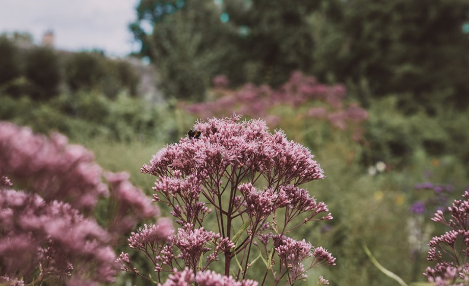 Monument met een missie