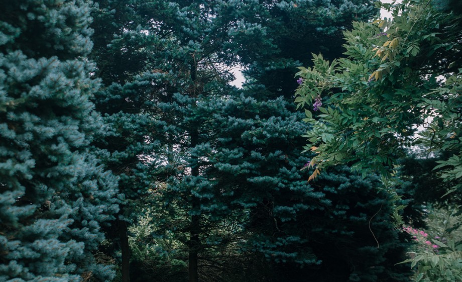 Prachtige natuur | Foto: Sheena Schouwink