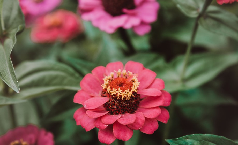 Prachtige natuur | Foto: Sheena Schouwink