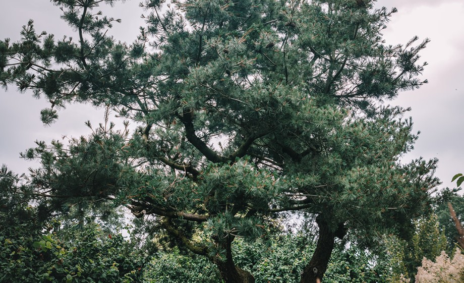 Prachtige natuur | Foto: Sheena Schouwink