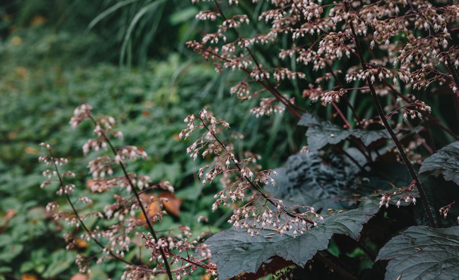 Prachtige natuur | Foto: Sheena Schouwink