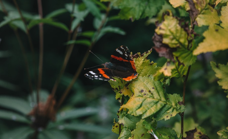 Prachtige natuur | Foto: Sheena Schouwink