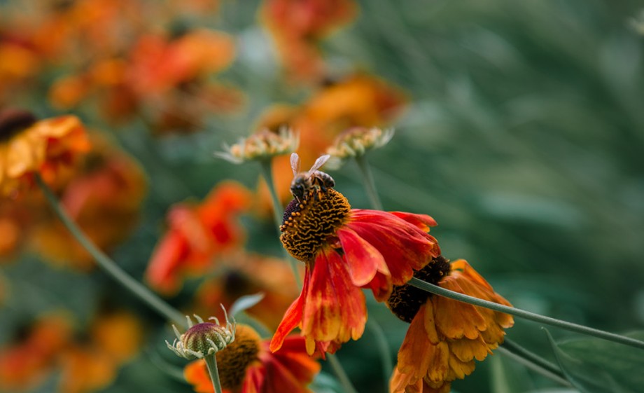 Prachtige natuur | Foto: Sheena Schouwink