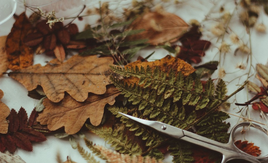 Aan de slag met de krans | Foto: Pixabay