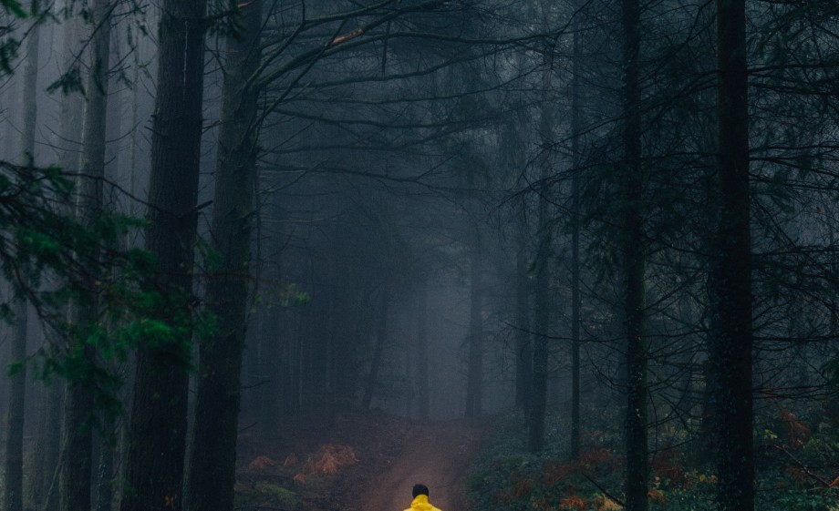 Juist in de herfst is het heerlijk wandelen in het bos | Foto: Pexels