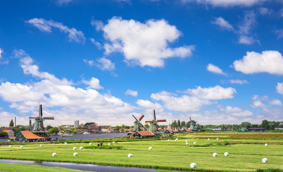 Nederlandse akkers | Foto: Pexels