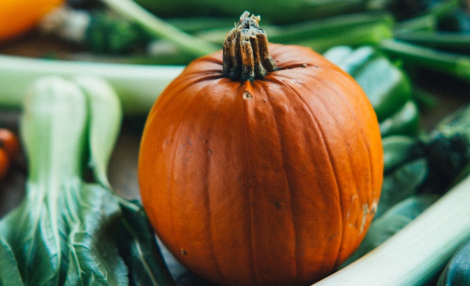 Pompoenen komen er ook aan | Foto: Pexels