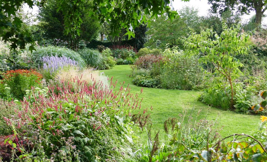 Nico's eigen tuin | Foto: via Studio Nico Wissing