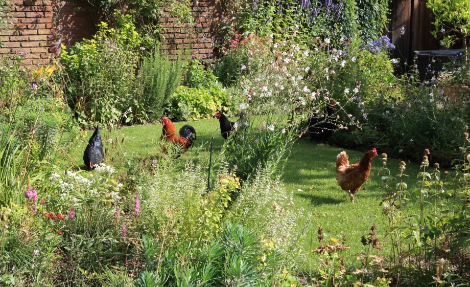 Eigen tuin van Nico Wissing | Foto: via Studio Nico Wissing