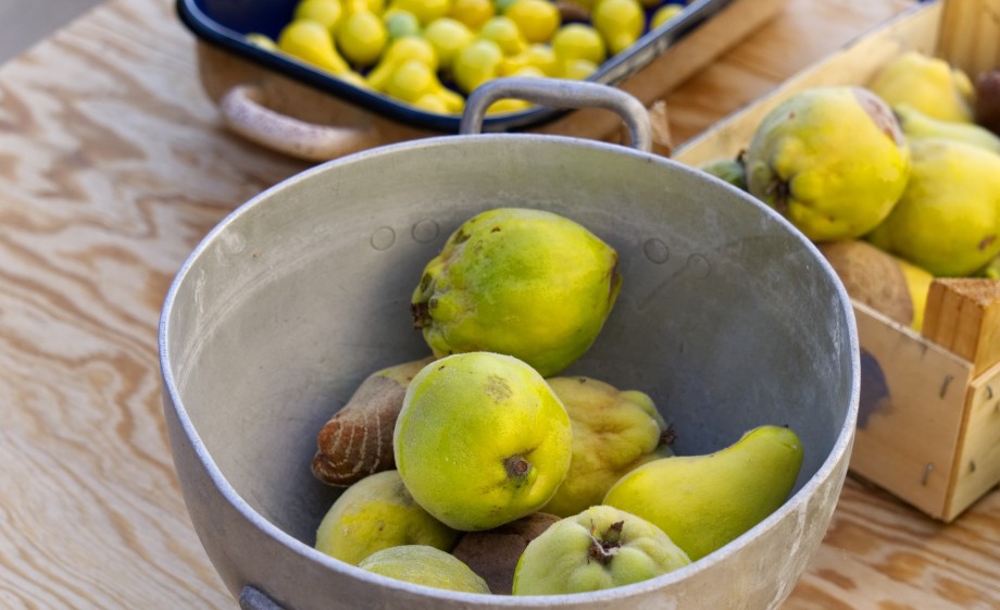 Kweeperen | Foto: Pexels