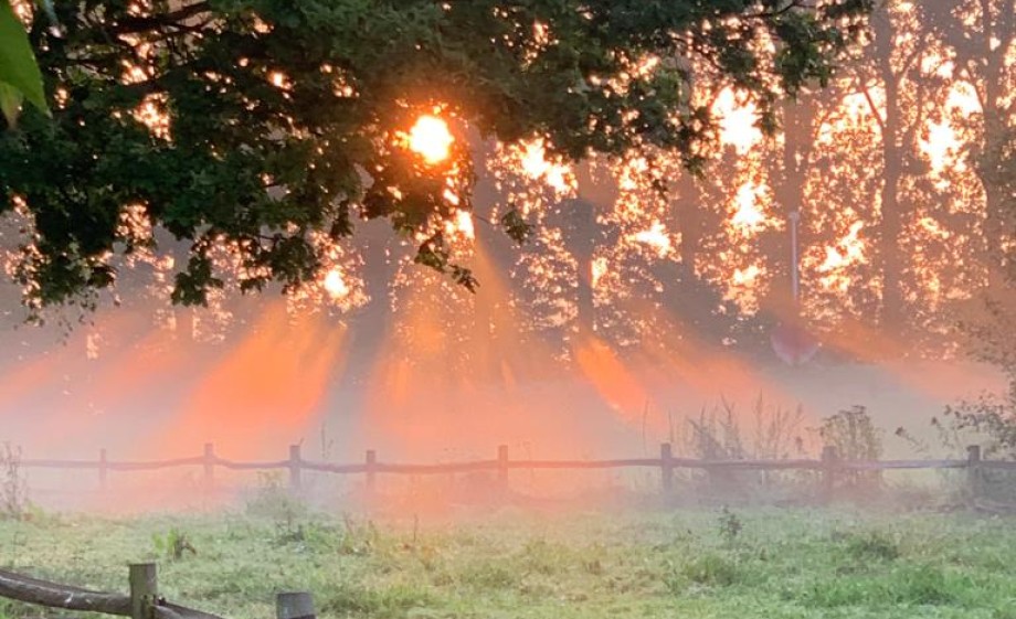 Tuinontwerp Nico Wissing | Foto: Nico Wissing