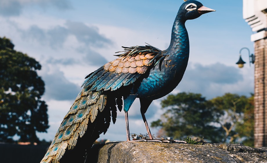 Pracht en praal op het eiland | Foto: Marjon Lukje