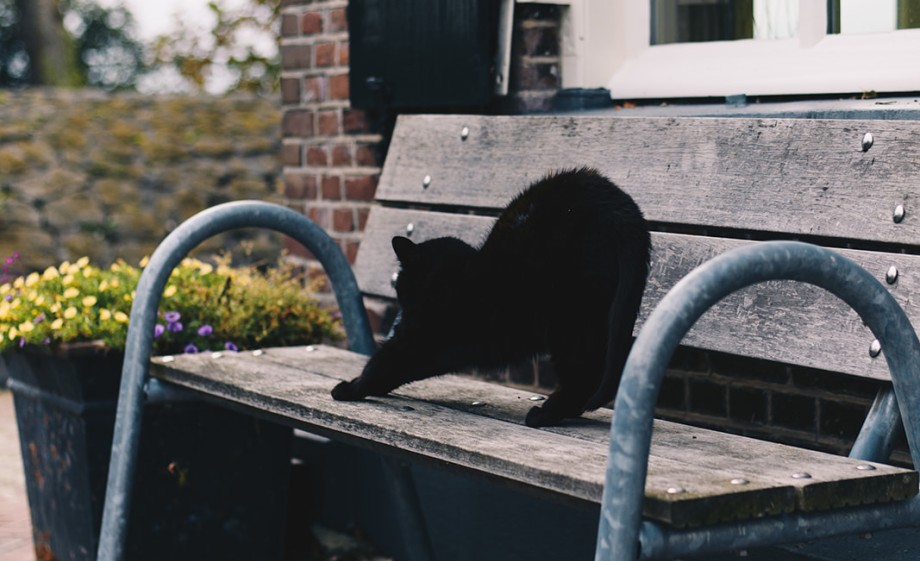 Het is heerlijk wonen hier | Foto: Marjon Lukje
