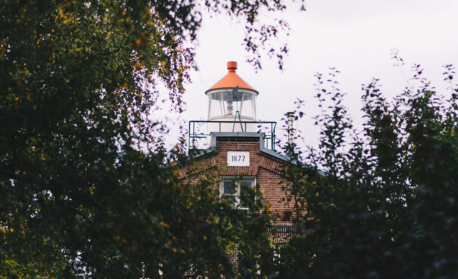 Verscholen achter een van de vele bomen | Foto: Marjon Lukje