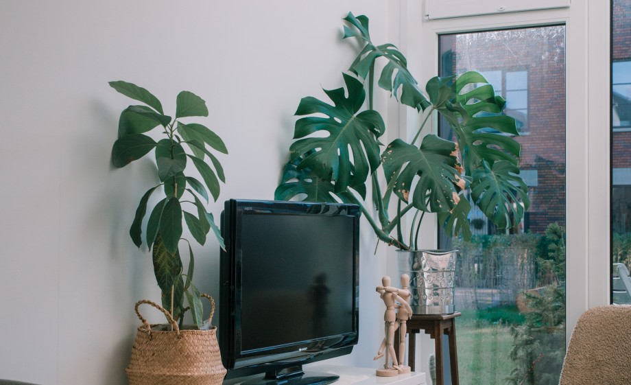 Genieten op je eigen terras | Foto: Sheena Schouwink