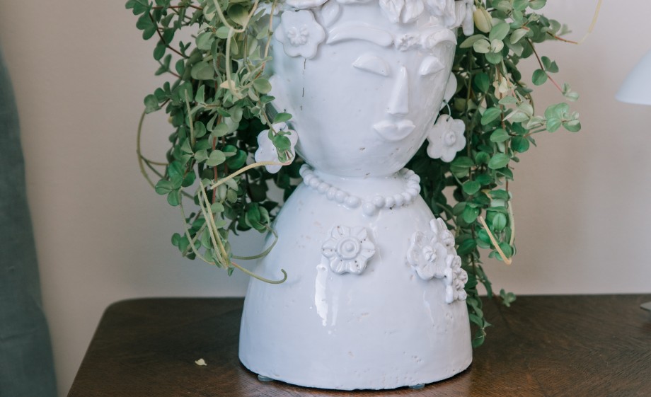 Creatief groen in huis | Foto: Sheena Schouwink