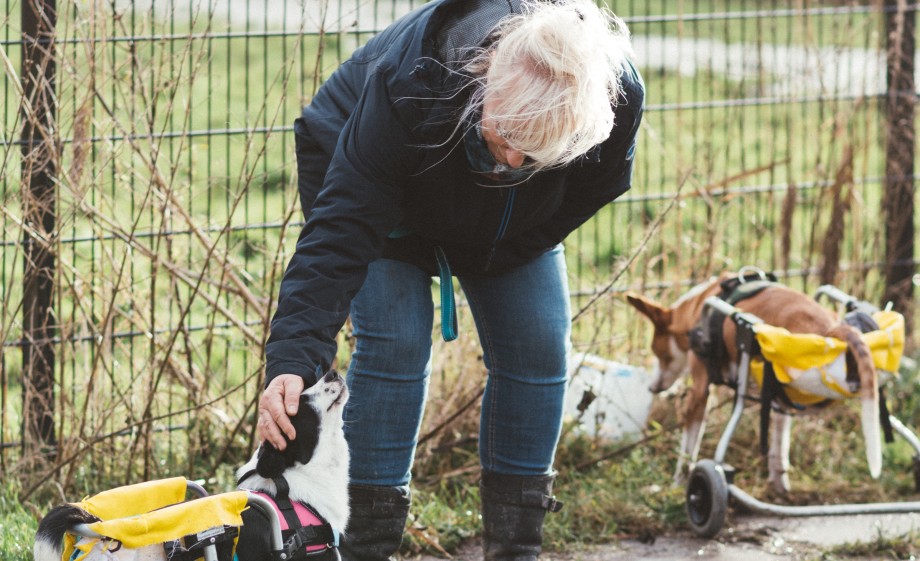 De stichting kan alle hulp gebruiken | Foto: Marjon Lukje