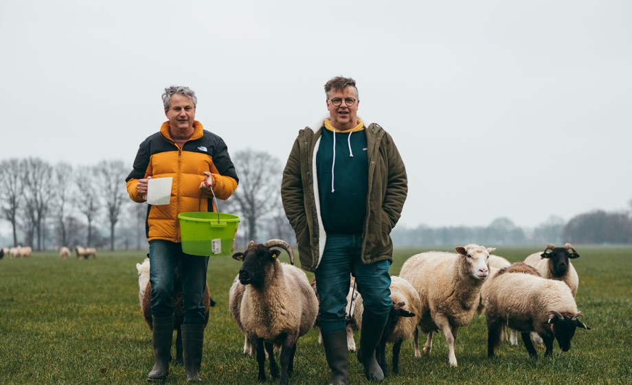 Anne (links) en Johan (rechts) met hun schapen