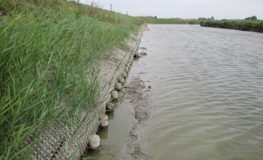 De matten aan de Nederlandse kust