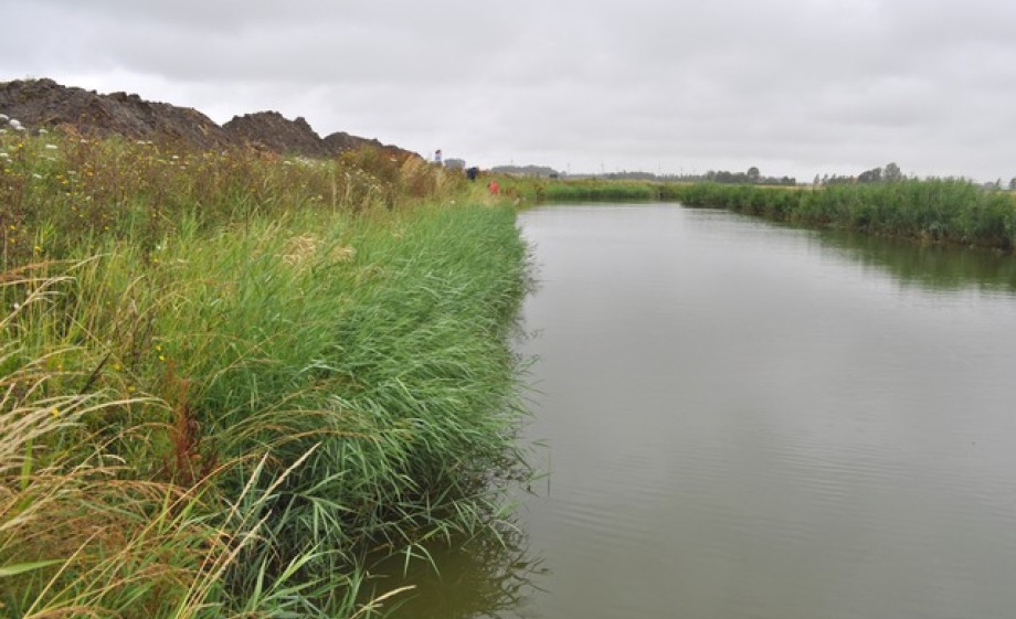Natuurherstel in Nederland