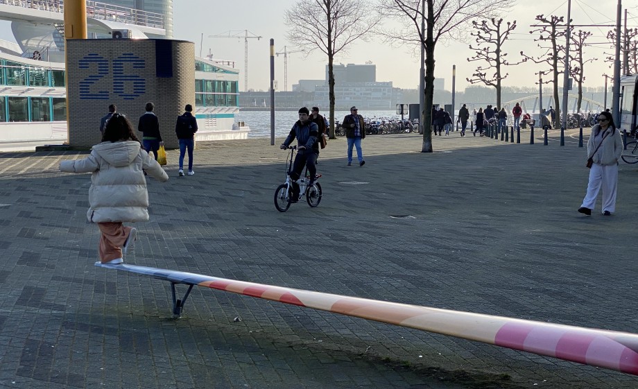 Ze zijn gemaakt (net als de speeltuin) van de wieken van afgeschreven wieken | Foto: Jos de Krieger