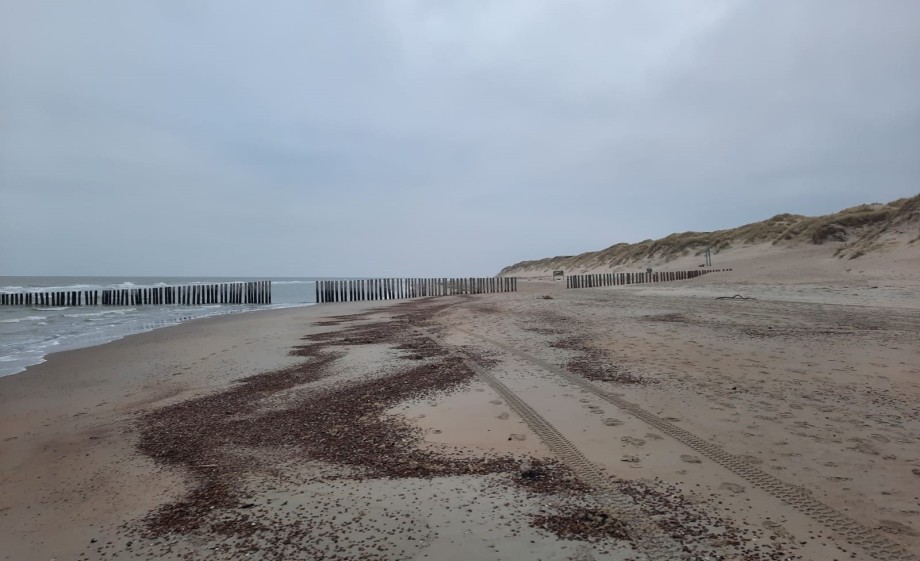 Ga lekker het strand op! | Foto: Jetze van Zwol