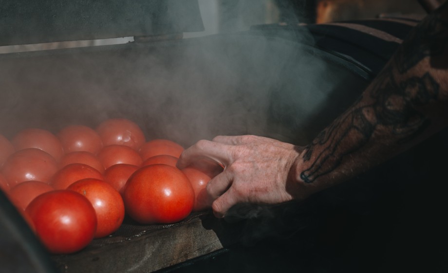 Niels rookt ook veel groenten, waaronder tomaten | Foto: Sheena Schouwink