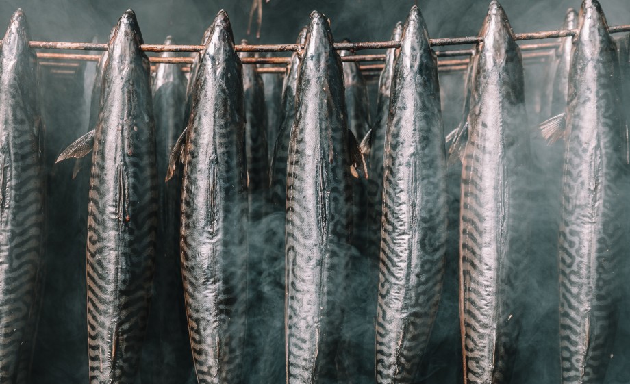 En zo hangen de vissen uiteindelijk in de rookkast | Foto: Sheena Schouwink