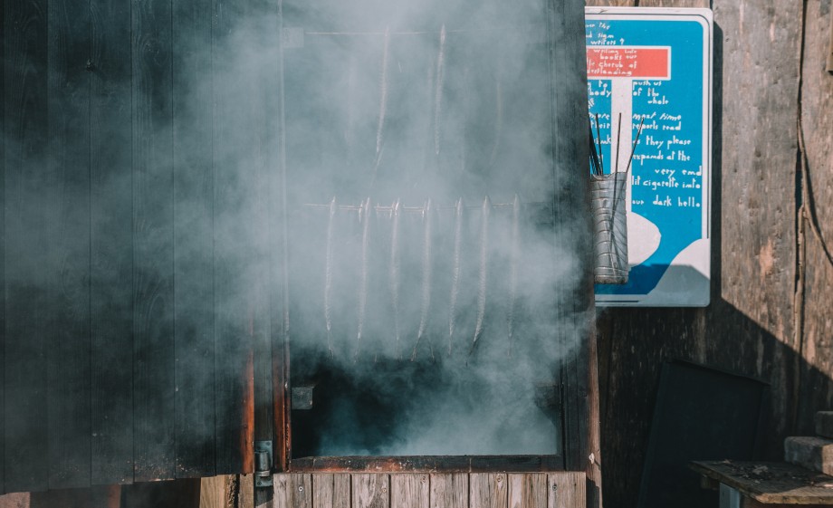 Zo gaat de oorsprong van ons voedsel leven bij een jongere generatie | Foto: Sheena Schouwink