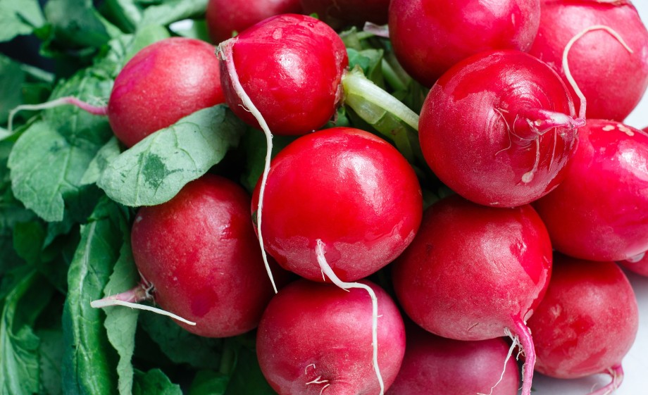 radish