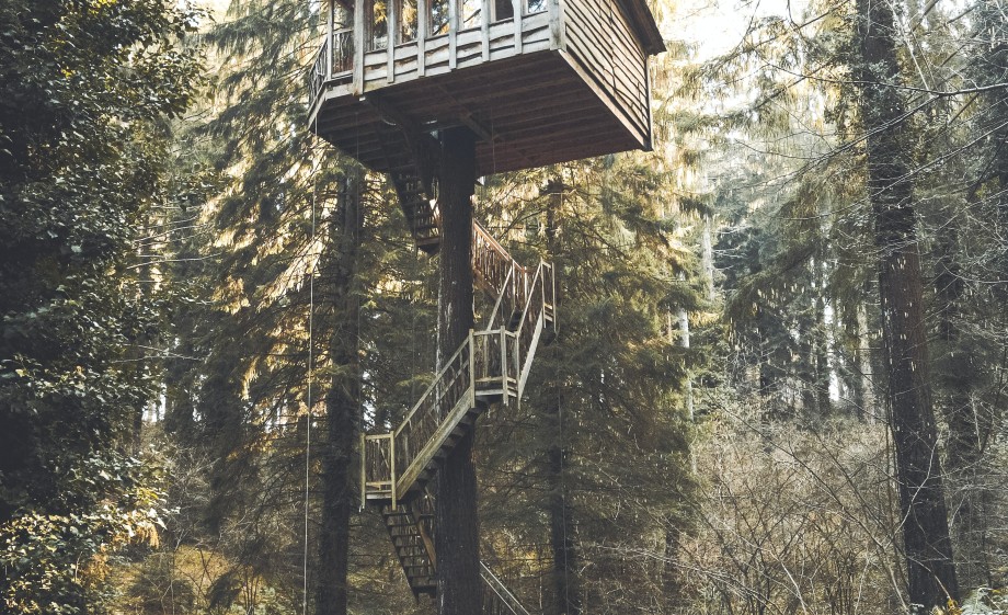 Een boomhut, hét droomhuis om te verduurzamen van Christijn