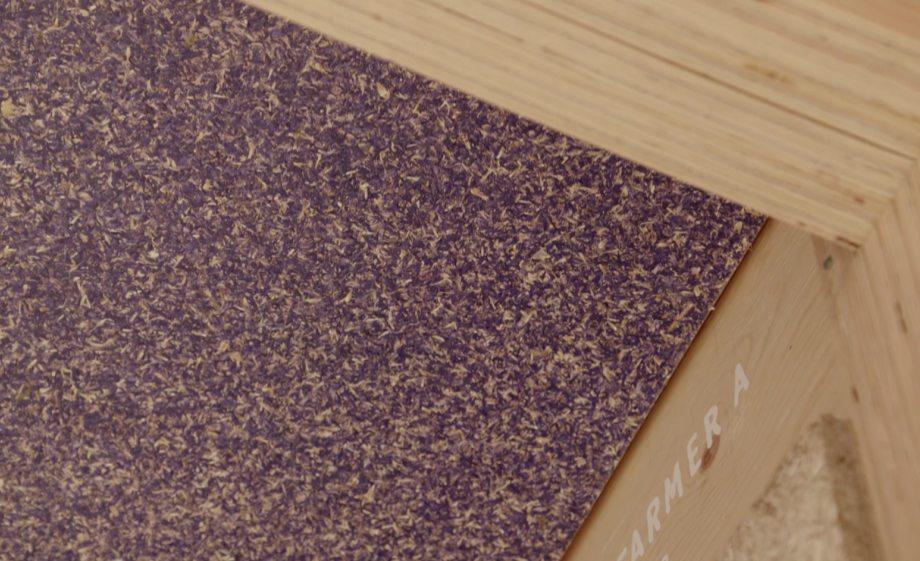 Plafond van korenbloemen in het biobased huis | still uit de uitzending