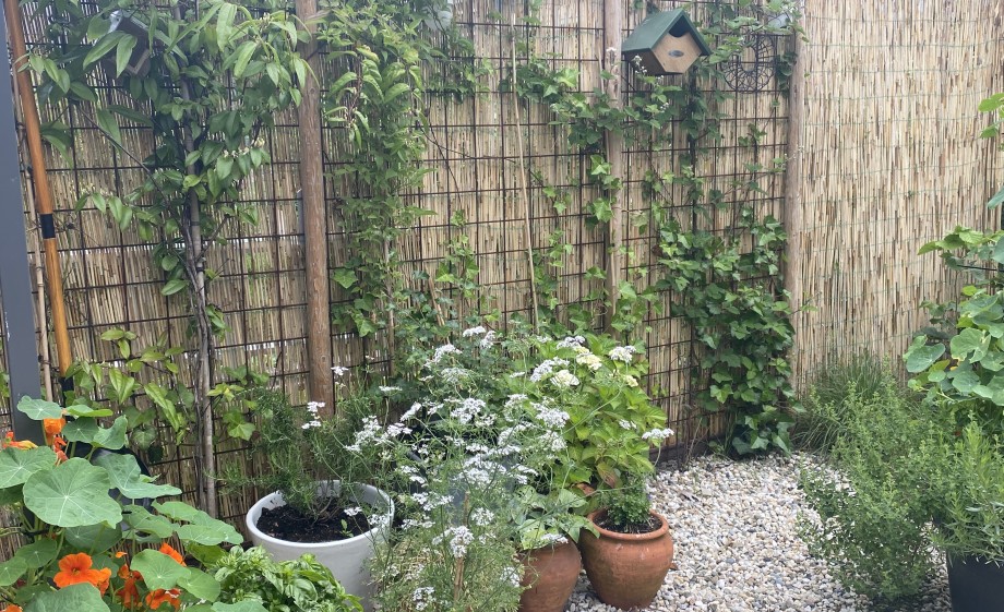 Marina geniet nog elke dag van de tuin als een waar paradijs!