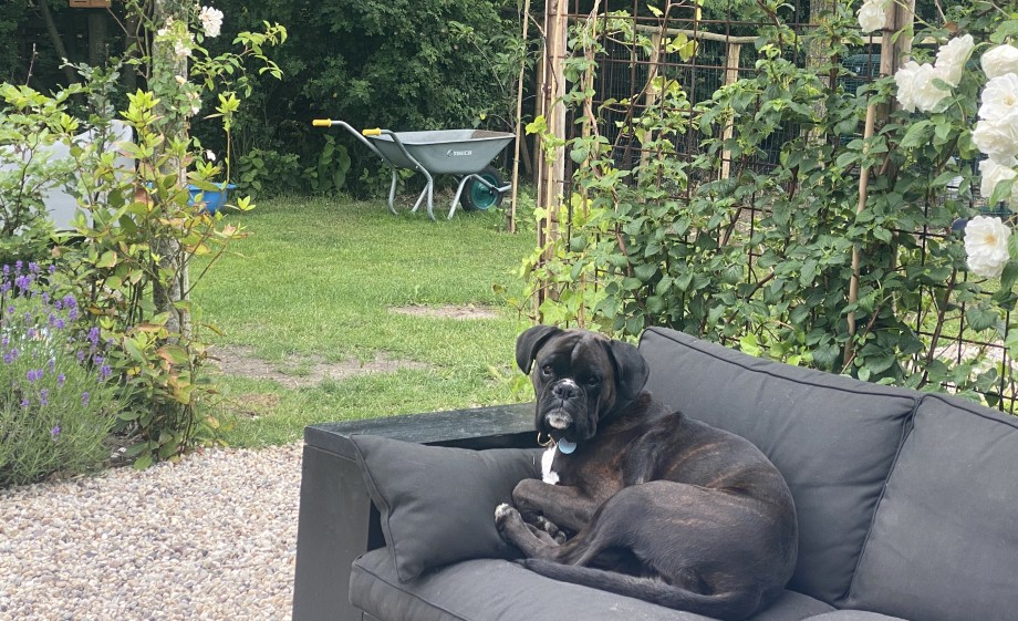 Marina geniet nog elke dag van de tuin als een waar paradijs!