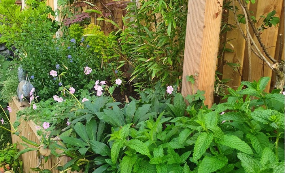 De tuin voelt als vakantie voor Jet en Janneke