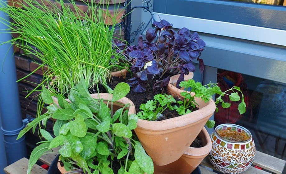 De tuin voelt als vakantie voor Jet en Janneke