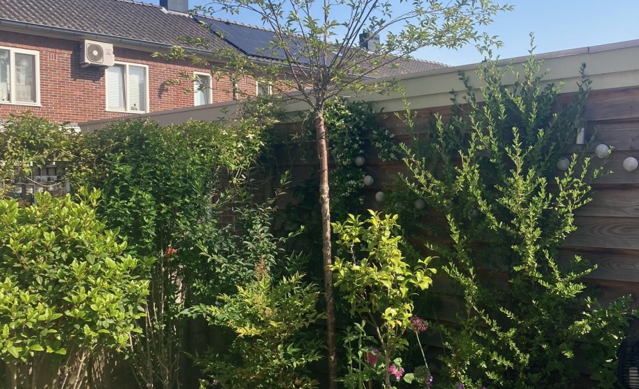 Het blijft genieten in de opknaptuin in Amsterdam 