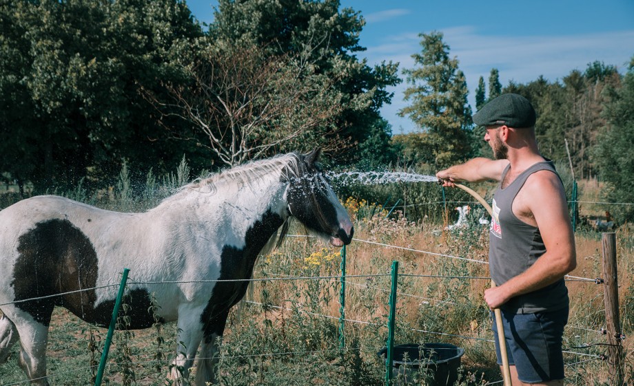 Jeff met een van zijn paarden