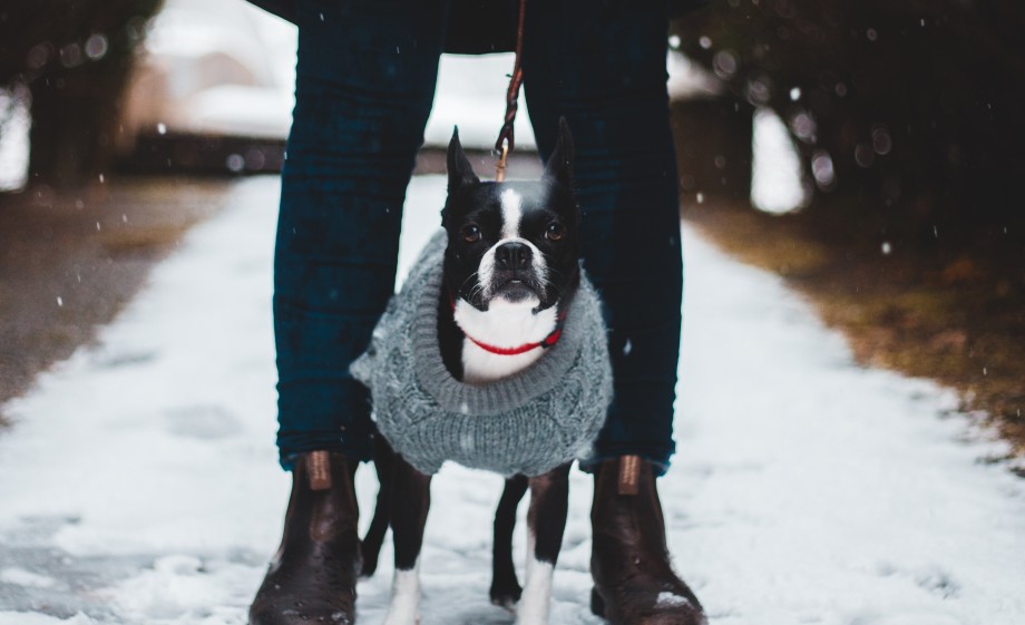 In de winter kan je wel een warme jas gebruiken | Foto: Pexels