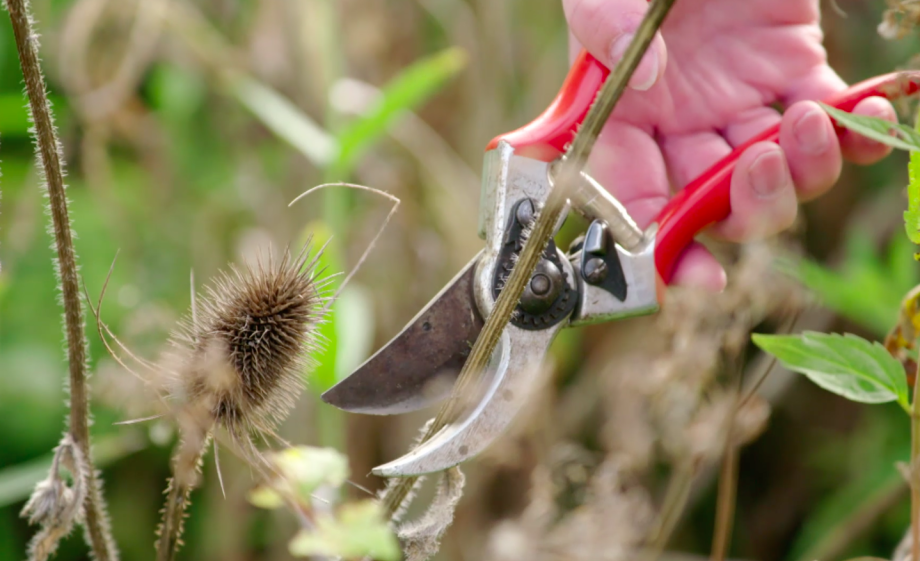 Maak zelf een kerstkrans met natuurlijke materialen | Still uit de uitzending